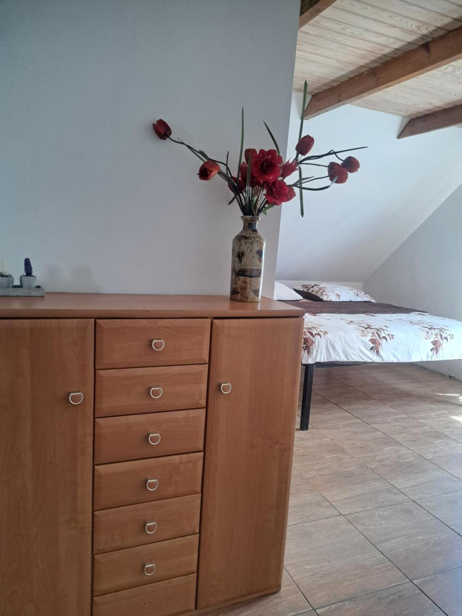 Bizon Guest House Sadowne Екстериор снимка